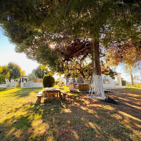 Διαμέρισμα Under The Vine Garden House *